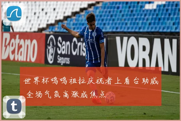 世界杯呜呜祖拉庆祝者上看台助威 全场气氛高涨成焦点