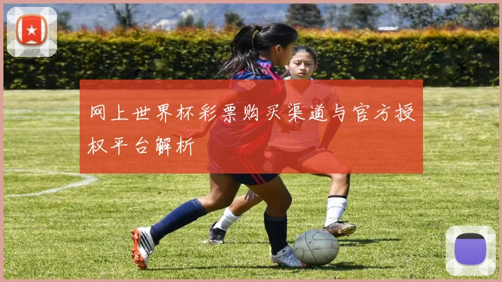 网上世界杯彩票购买渠道与官方授权平台解析