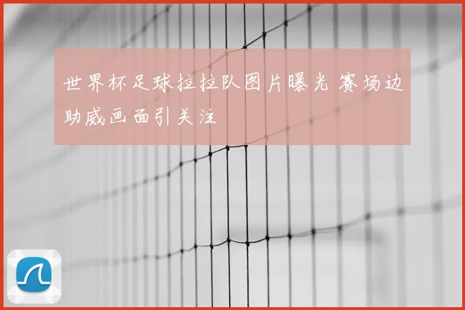 世界杯足球拉拉队图片曝光 赛场边助威画面引关注