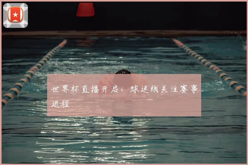 世界杯直播开启,球迷线关注赛事进程